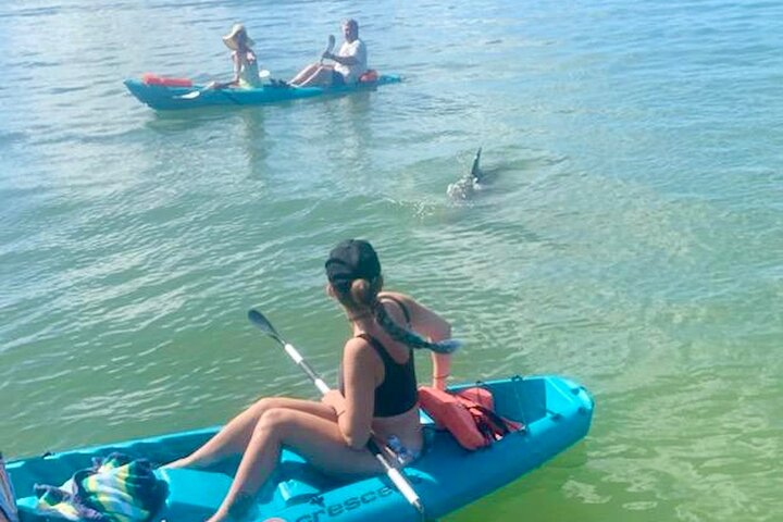 Another beautiful day on the Daytona Kayaking Tour with Dolphins swimming in between everyone!
